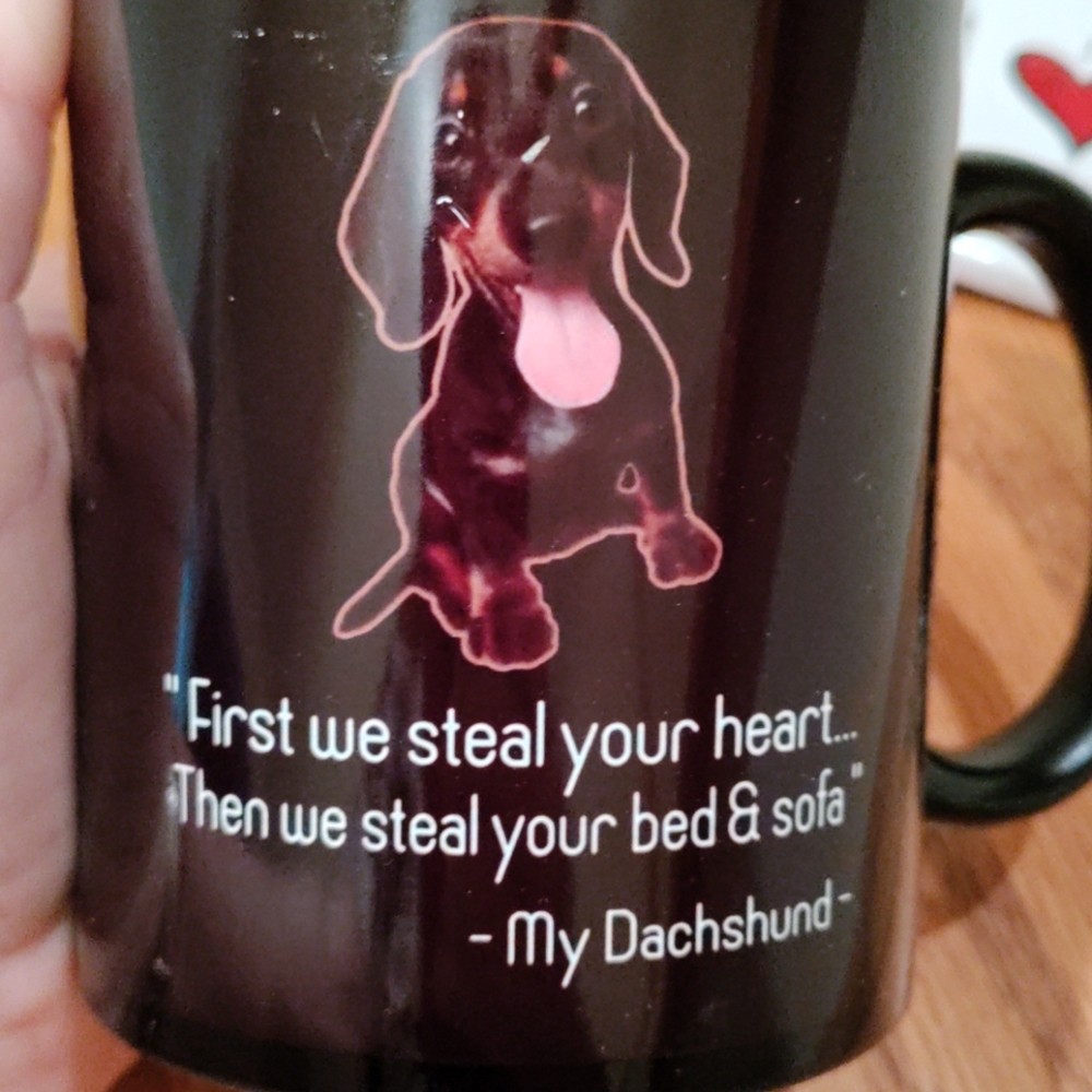 Dachshund mug & photo frame - Picture 2 of 14